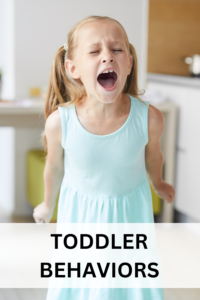 toddler behaviors