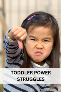 toddler power struggles